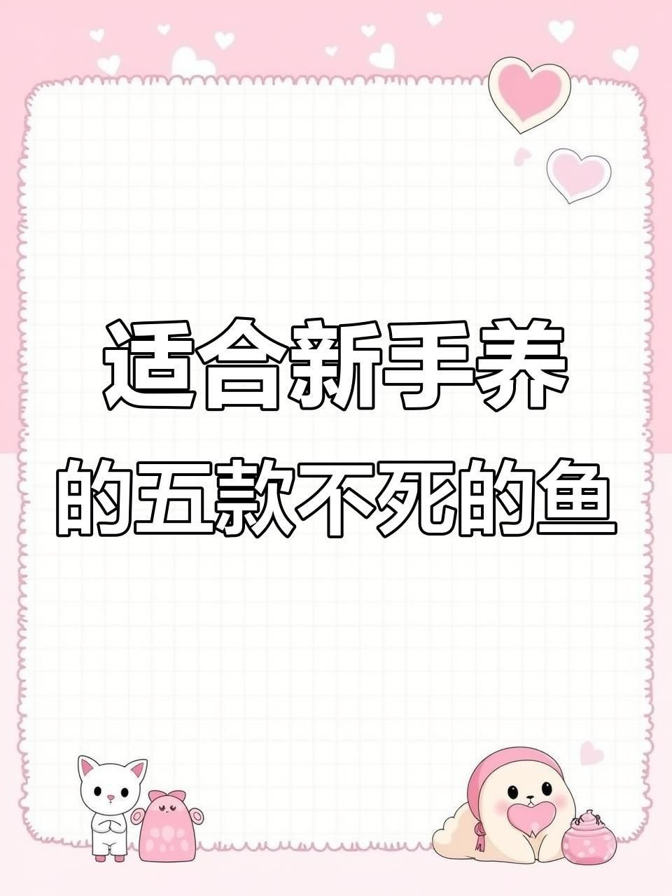哪種觀賞魚適合新手飼養(yǎng)？