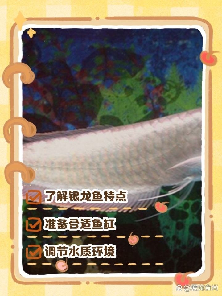 銀龍魚幾個月能長大啊