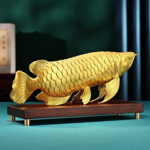 金色金龍魚多少錢