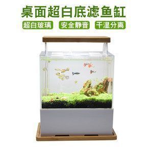龍魚缸換背景對魚有影響嗎：龍魚缸換背景對魚有影響，龍魚缸換背景對魚有影響嗎