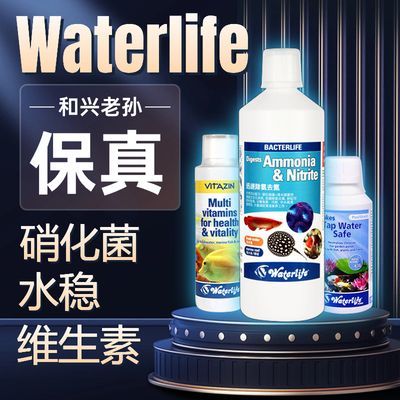 龍魚品牌排行榜：2024年的龍魚缸排行榜中位列第一的龍魚品牌排行榜