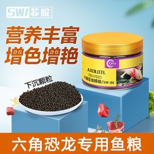 六角龍魚吃什么飼料比較好：六角龍魚一般吃什么飼料，六角龍魚吃什么食物比較好