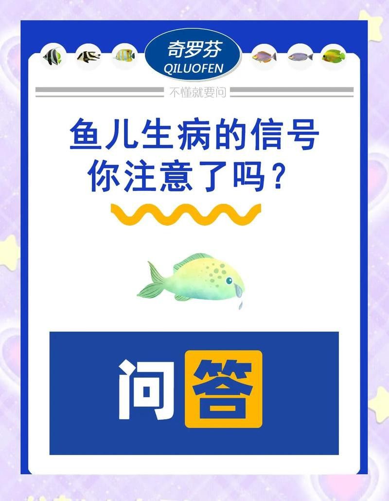 如何判斷小火龍魚是否生病？