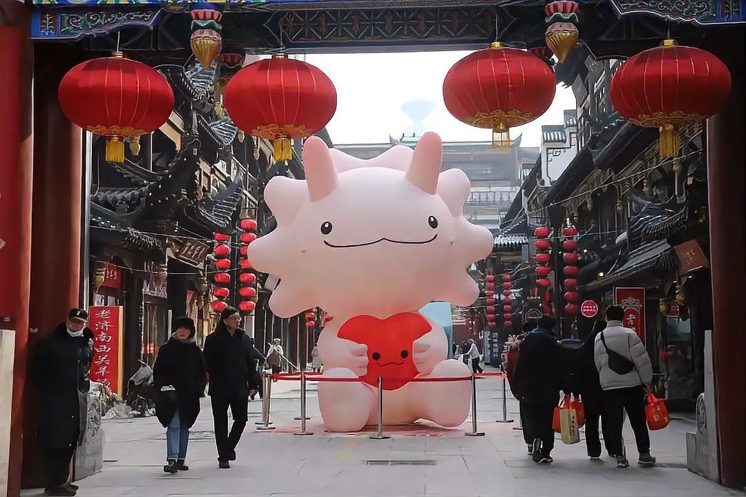 紅龍在春節和婚慶中的具體應用