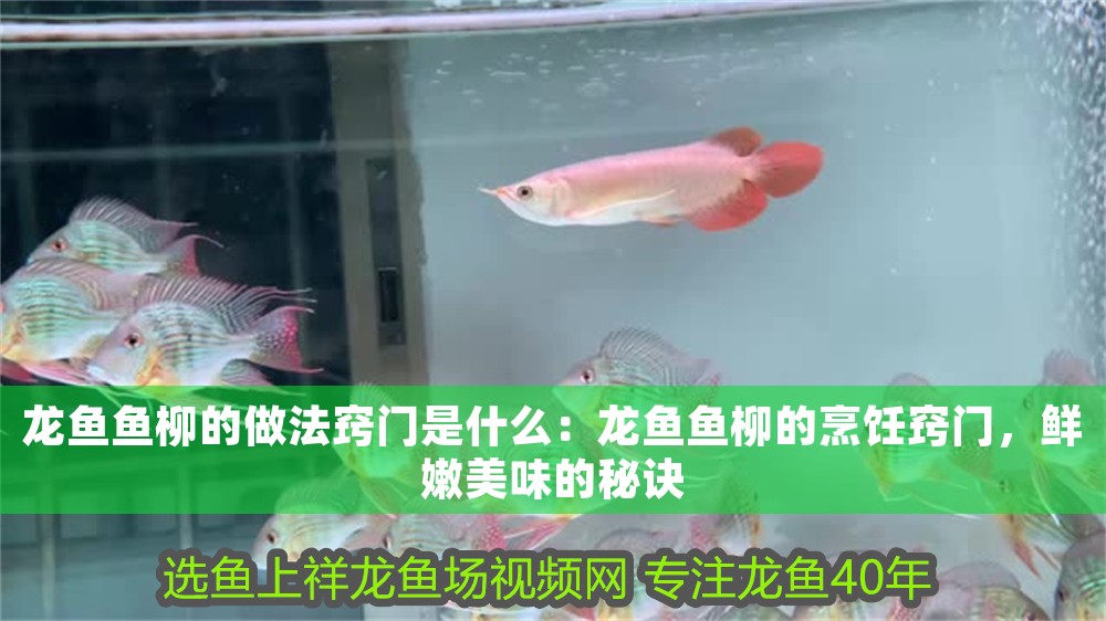 龍魚(yú)魚(yú)柳的做法竅門(mén)是什么：龍魚(yú)魚(yú)柳的烹飪竅門(mén)，鮮嫩美味的秘訣