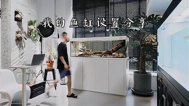 如何設置龍魚的魚缸環境？