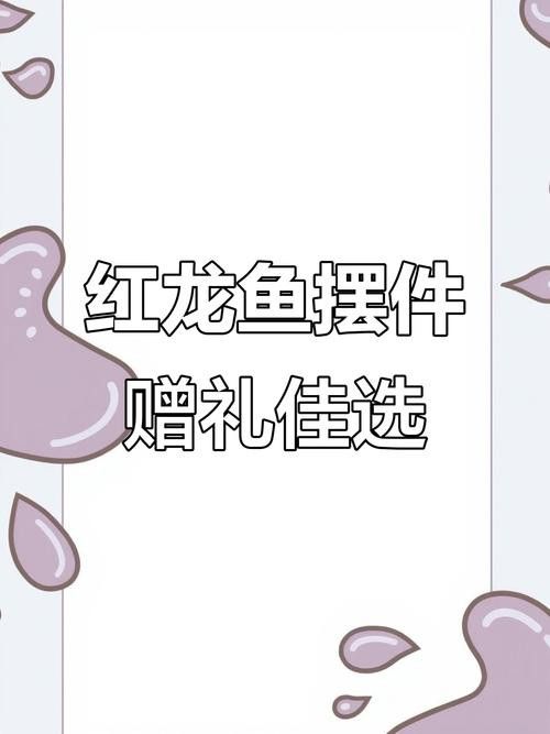 30公分的紅龍魚價格及圖片