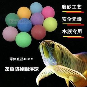 紅色的金龍魚好不好養(yǎng)活（養(yǎng)殖紅色金龍魚需要注意的問題）