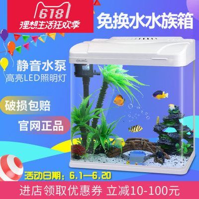 龍魚是否應該天天換水：龍魚天天換水好嗎龍魚天天換水好嗎，龍魚天天換水好嗎