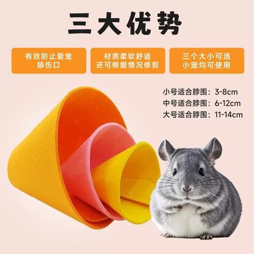 龍貓同睡需要準備哪些床上用品？
