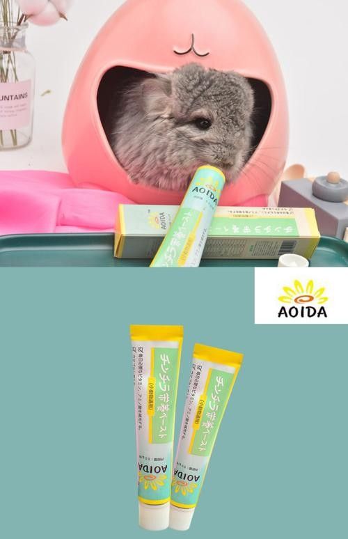 龍貓同睡需要準備哪些床上用品？