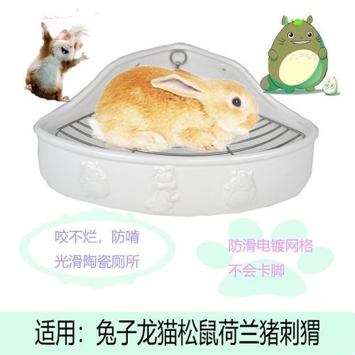 龍貓同睡需要準備哪些床上用品？