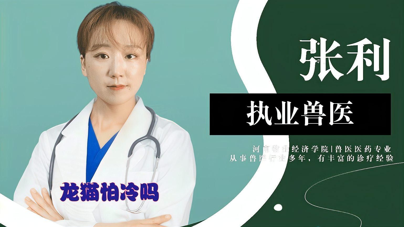 龍貓同睡需要準備哪些床上用品？