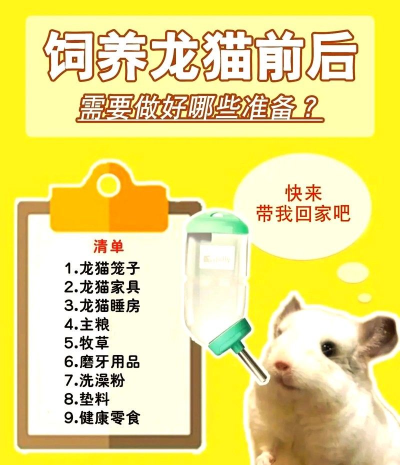 龍貓同睡需要準備哪些床上用品？