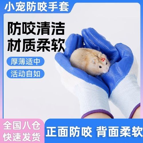 龍貓同睡需要準備哪些床上用品？