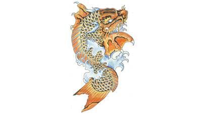紋身紋金龍魚好嗎（金龍魚紋身具有豐富文化內涵和吉祥寓意的選擇并注意紋身后的保養）