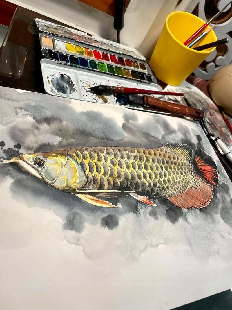 銀龍魚圖片大全素描畫