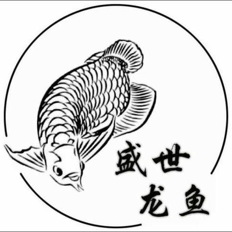 銀龍魚圖片大全素描畫