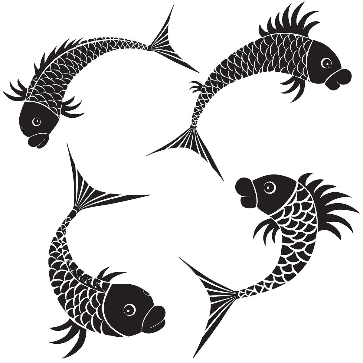銀龍魚圖片大全素描畫