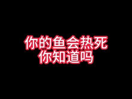 龍魚溫度過高會有什么影響？