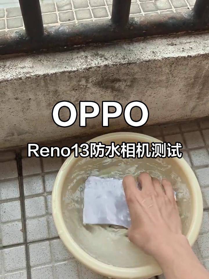 如何選擇適合拍攝金龍魚的手機？