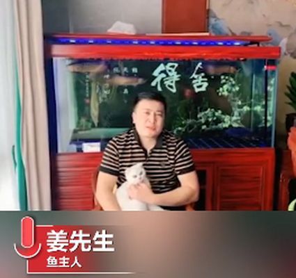 河北石家莊吃金龍魚（石家莊金龍魚特色做法）