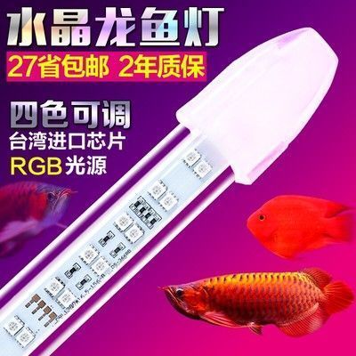 金龍魚用啥燈對龍魚發(fā)色好（關(guān)于金龍魚的燈光選擇）