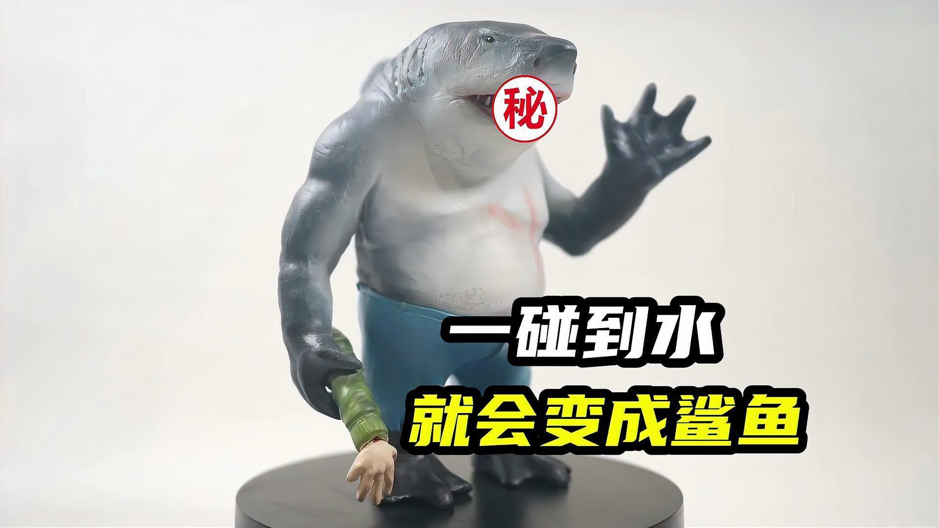 麥克鯊魚