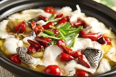 龍魚是熱水魚嗎：龍魚是一種熱帶魚，對水溫有特定的要求