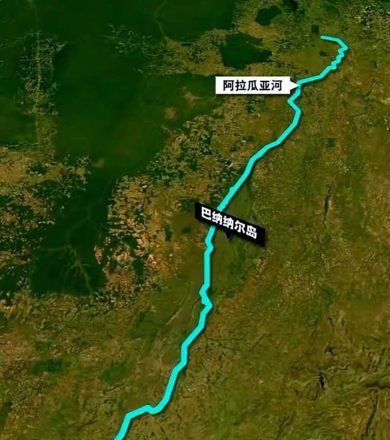 藍(lán)帆五間魚的脫變