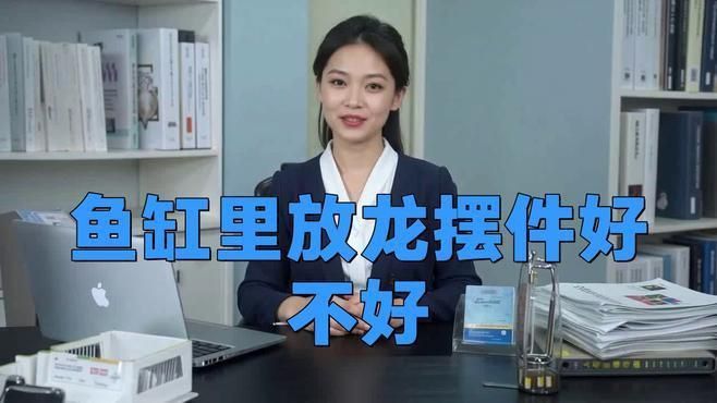 龍魚缸里放什么東西好 龍魚百科 第1張 龍魚缸里放什么東西好 龍魚缸里放什么東西好 龍魚百科 第1張