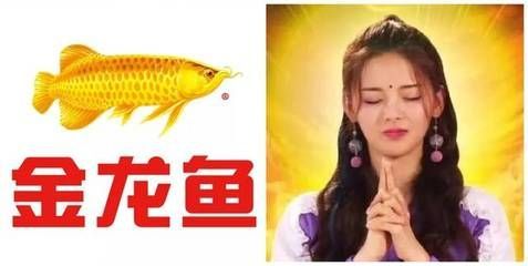 怎樣防止金龍魚掉眼淚：如何防止金龍魚掉眼淚