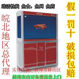 龍魚缸養水能放活性炭嗎：活性炭對龍魚的影響