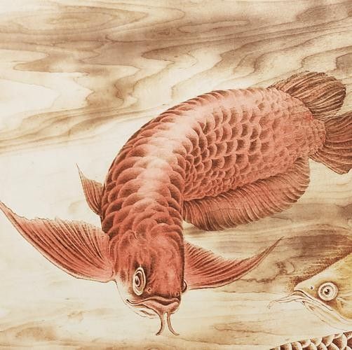 龍魚圖騰圖片高清