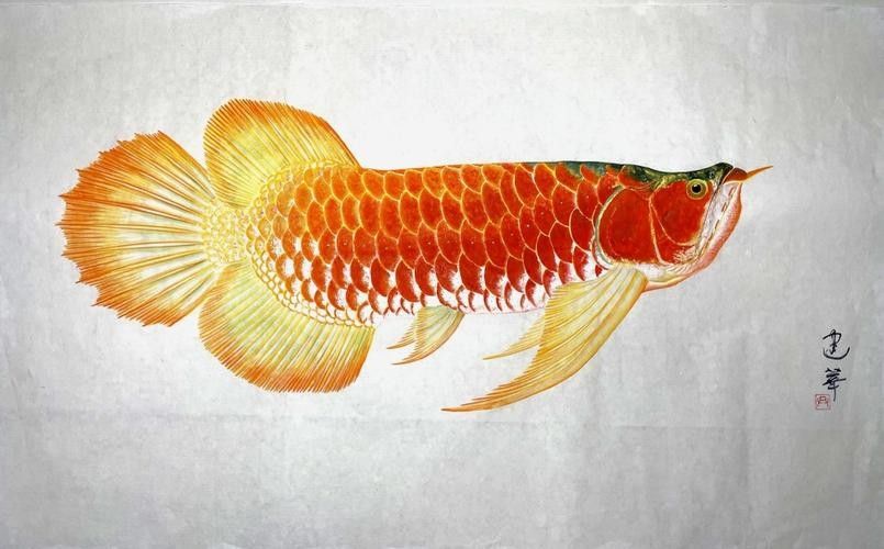 龍魚圖騰圖片高清