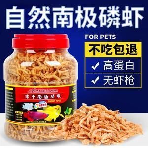 龍魚突然不吃蝦干了（為什么龍魚不吃蝦干？）