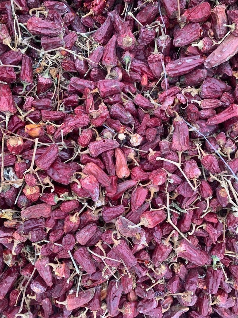 給我高清版頂級紅龍魚圖片