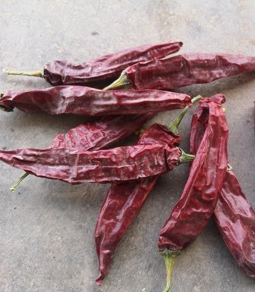 給我高清版頂級紅龍魚圖片