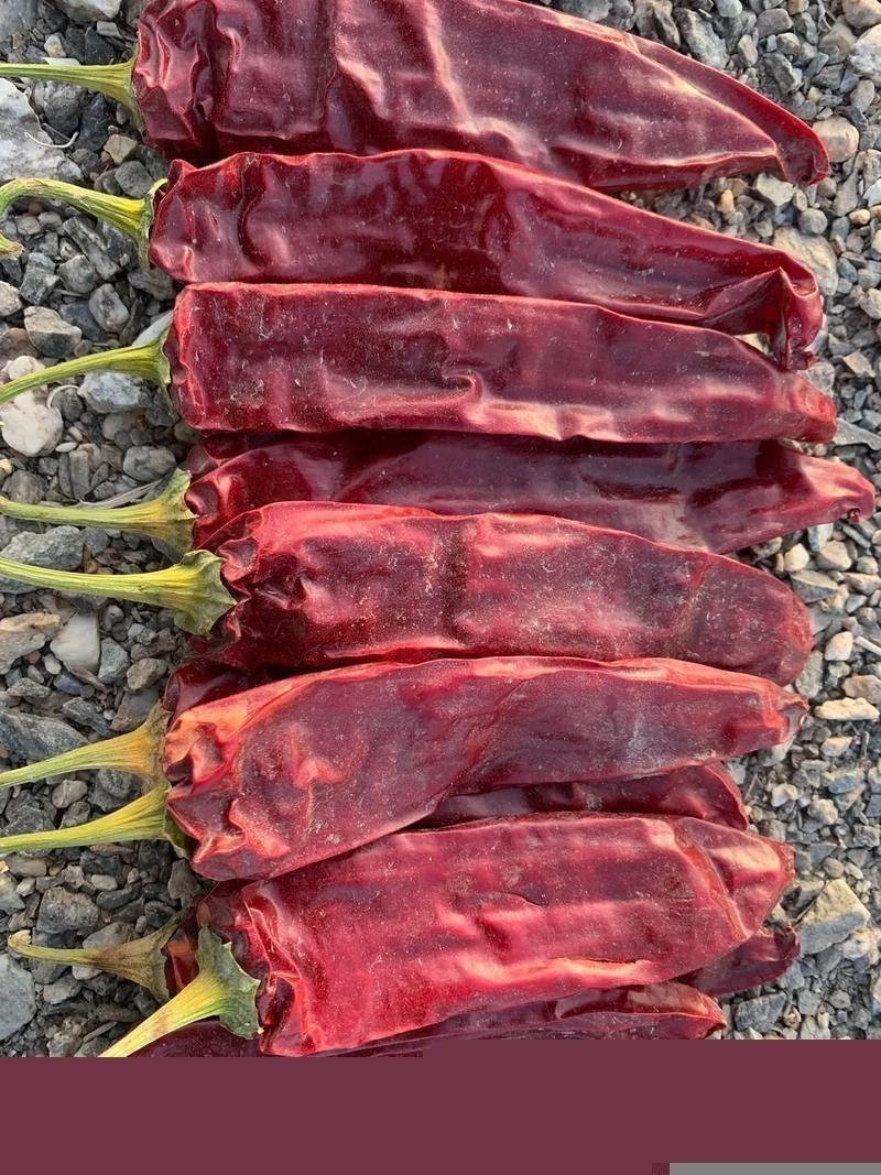 給我高清版頂級紅龍魚圖片