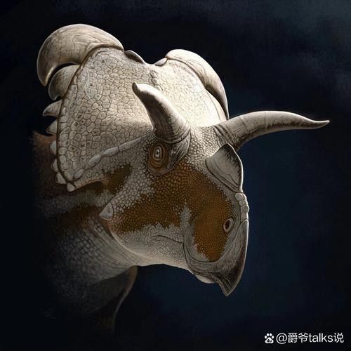 恐龍魚(yú)種類(lèi)及圖片欣賞