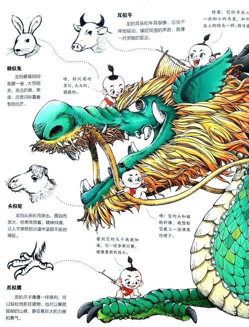 恐龍魚(yú)種類(lèi)及圖片欣賞