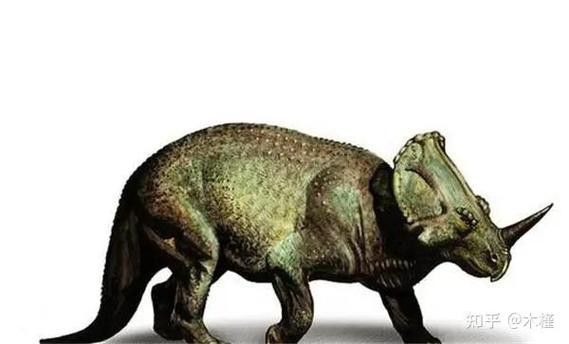 恐龍魚(yú)種類(lèi)及圖片欣賞