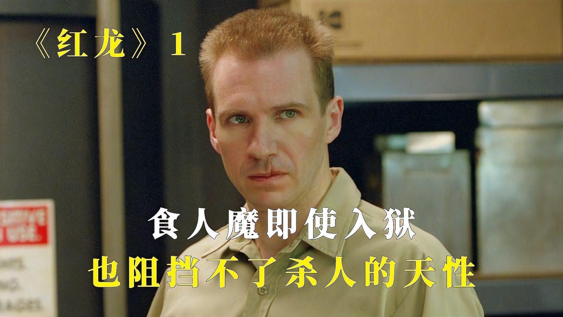 紅龍與其他種族的關系如何？