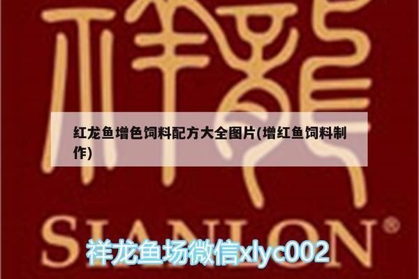 紅龍魚增色飼料配方大全（cn104206932b配方：紅龍魚增色飼料品牌推薦）