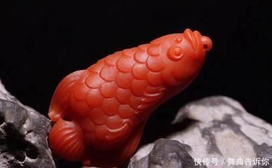 金龍魚圖案（金龍魚圖案在中國文化中承載著豐富的象征意義） 金龍魚圖案（金龍魚圖案在中國文化中承載著豐富的象征意義） 龍魚百科 第4張