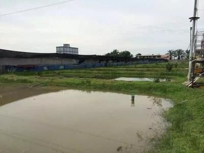 廣州龍魚養殖場排名前十的有哪些（廣州市一些知名的龍魚養殖場）