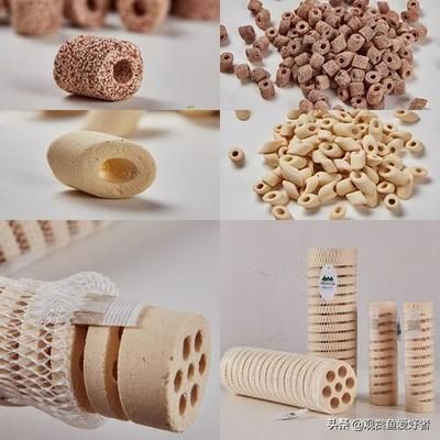 金龍魚用什么濾材好：金龍魚用什么濾材好，