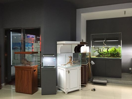 金龍魚溫度多少最好（金龍魚冬季養護技巧金龍魚夏季降溫方法）