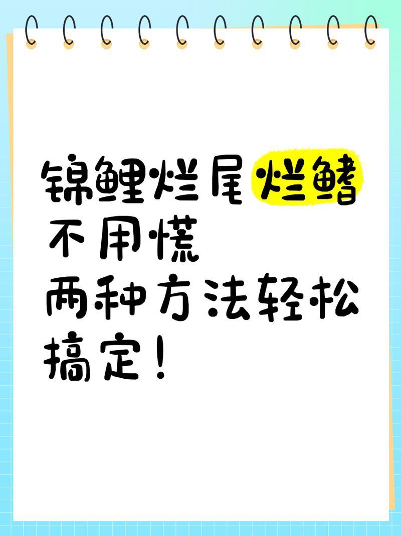 錦鯉爛鰭能自愈嗎
