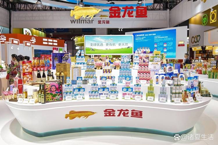 如何通過官方客服熱線聯系到金龍魚經銷商？